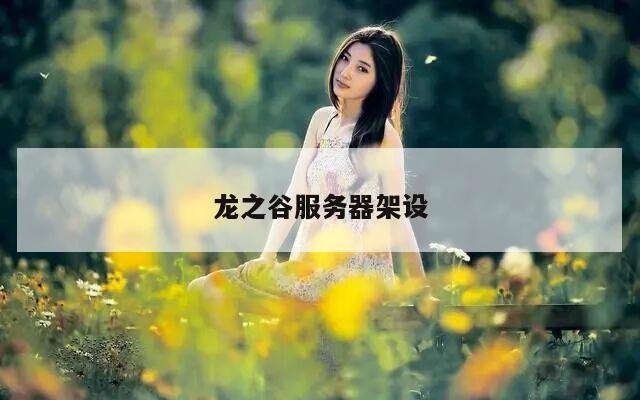 龙之谷服务器架设
