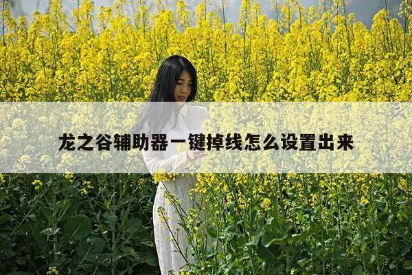 龙之谷辅助器一键掉线怎么设置出来