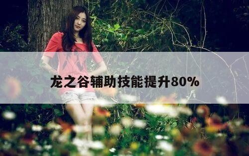 龙之谷辅助技能提升80%