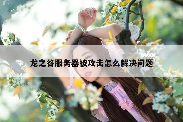 龙之谷服务器被攻击怎么解决问题