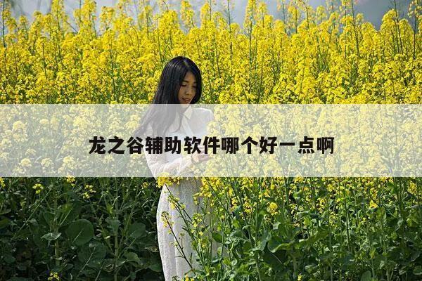 龙之谷辅助软件哪个好一点啊