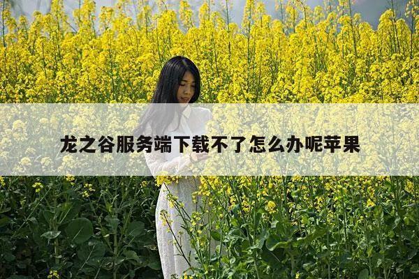 龙之谷服务端下载不了怎么办呢苹果