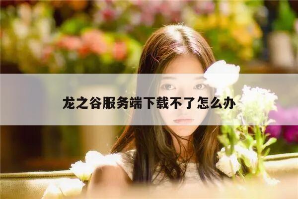 龙之谷服务端下载不了怎么办
