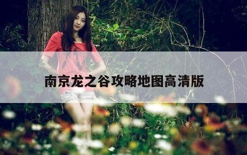 南京龙之谷攻略地图高清版
