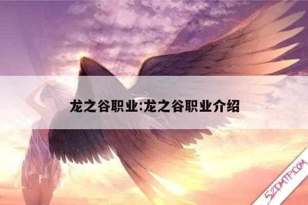 龙之谷职业:龙之谷职业介绍