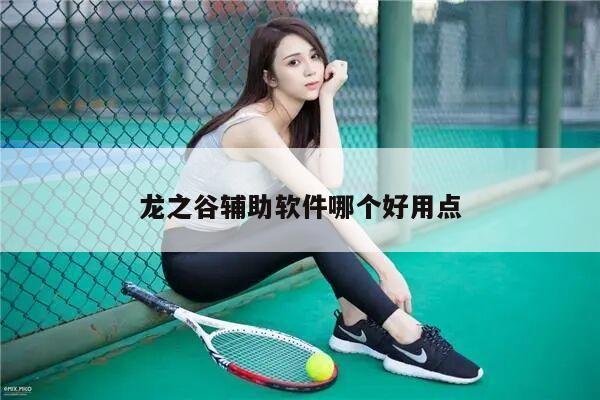 龙之谷辅助软件哪个好用点
