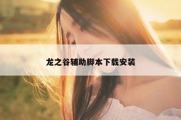 龙之谷辅助脚本下载安装
