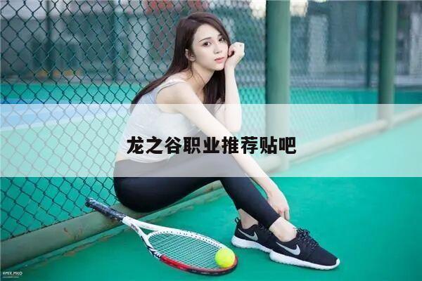 龙之谷职业推荐贴吧