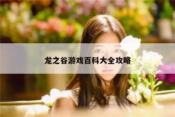 龙之谷游戏百科大全攻略