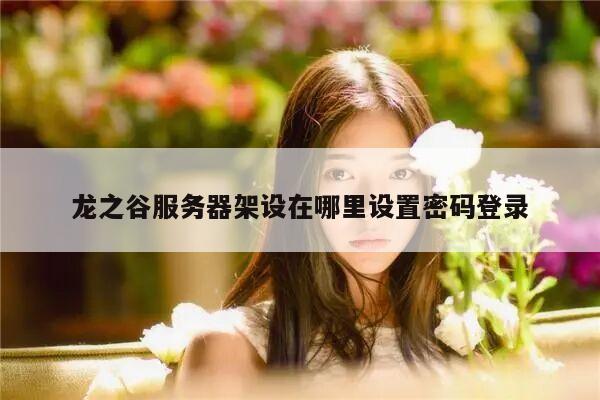 龙之谷服务器架设在哪里设置密码登录