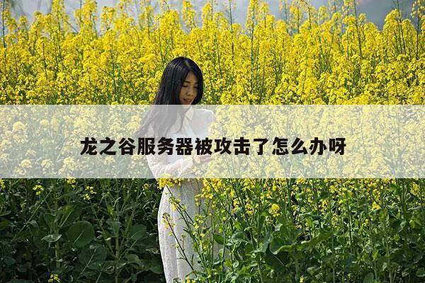 龙之谷服务器被攻击了怎么办呀