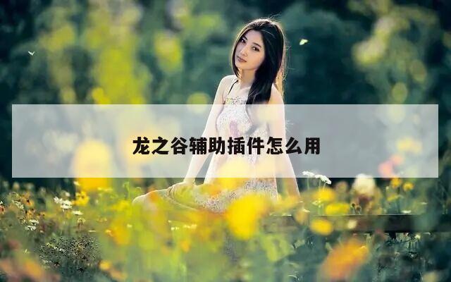 龙之谷辅助插件怎么用