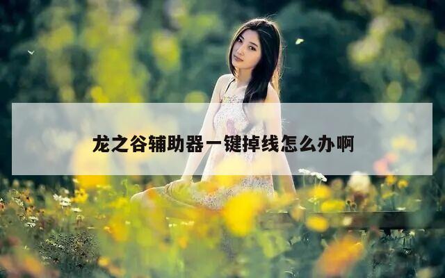 龙之谷辅助器一键掉线怎么办啊