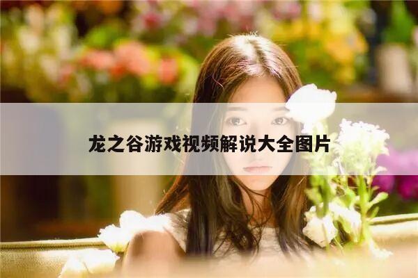 龙之谷游戏视频解说大全图片