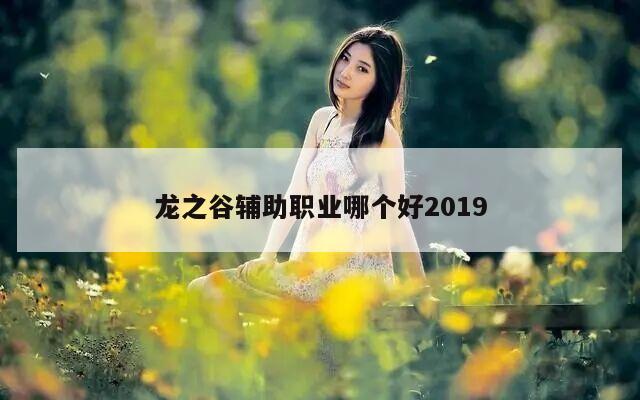龙之谷辅助职业哪个好2019